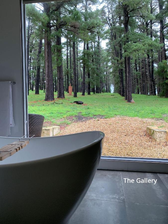 Bella Cosa Villa Mclaren Vale Kültér fotó